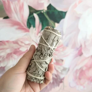 Baton de sauge blanche