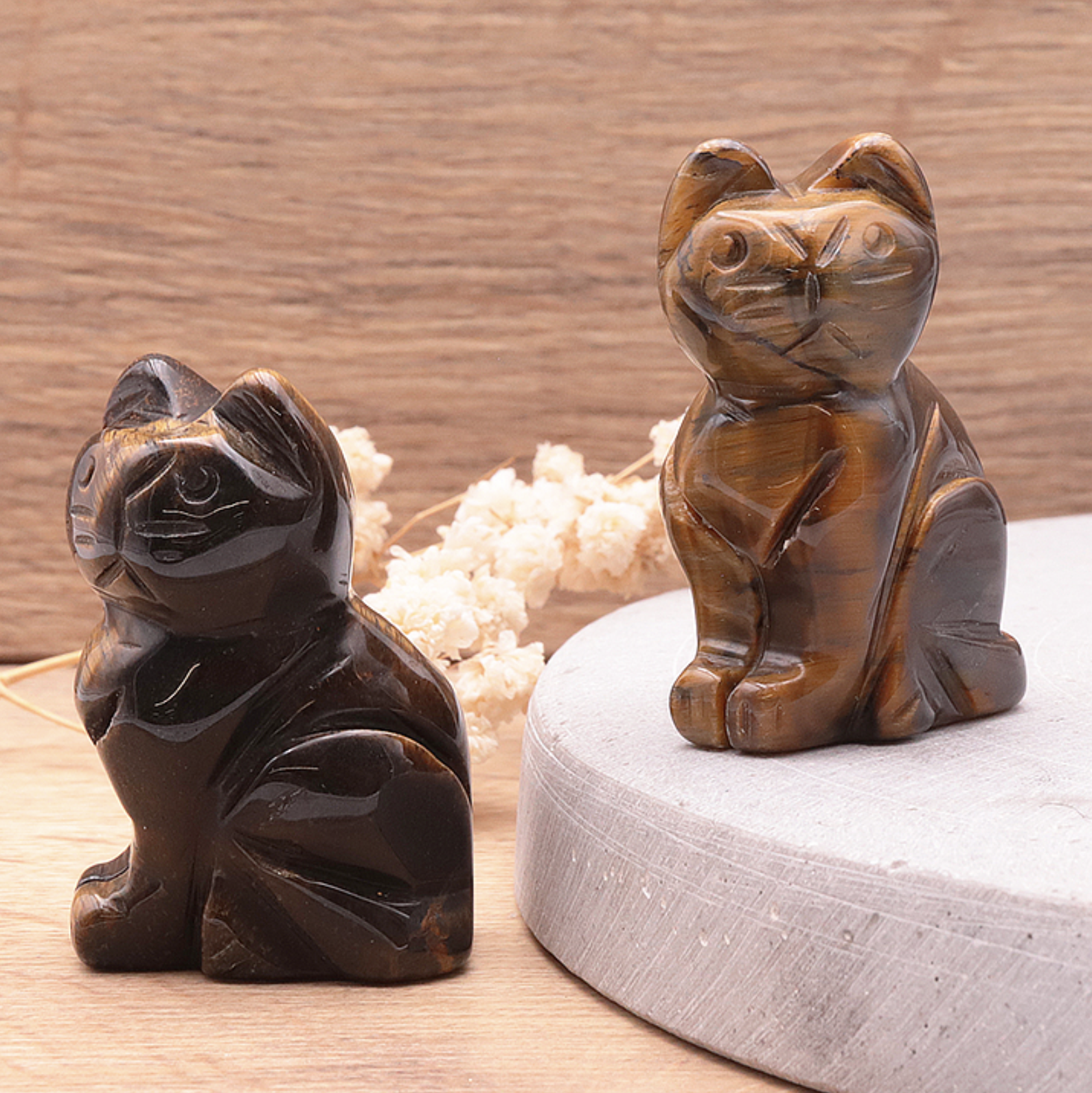 CHAT 50MM OEIL DE TIGRE A