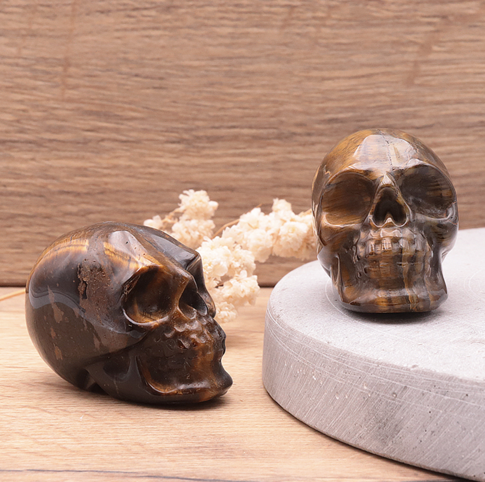 CRÂNE 50MM OEIL DE TIGRE A