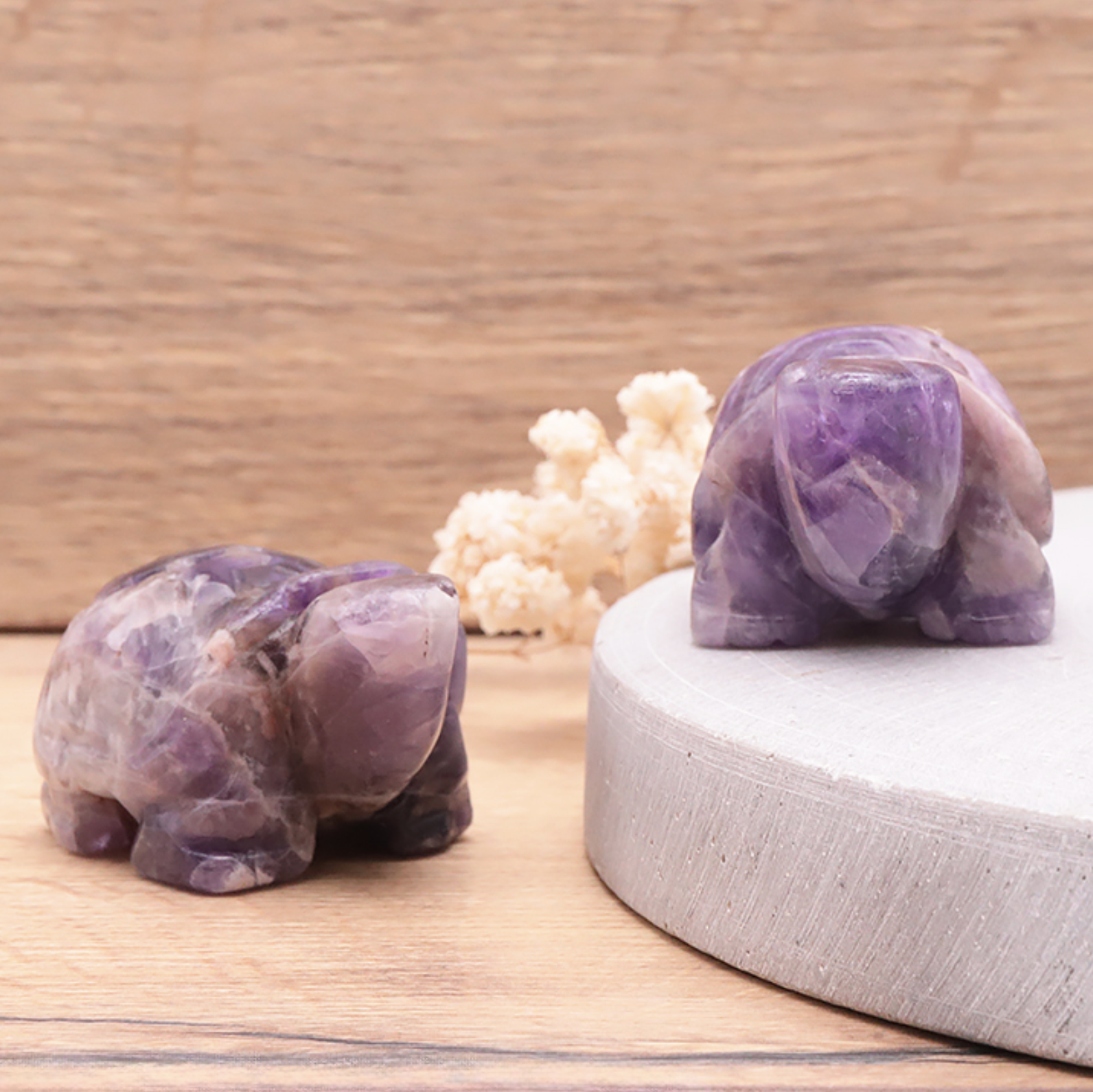 TORTUE 50MM AMÉTHYSTE BRÉSIL A