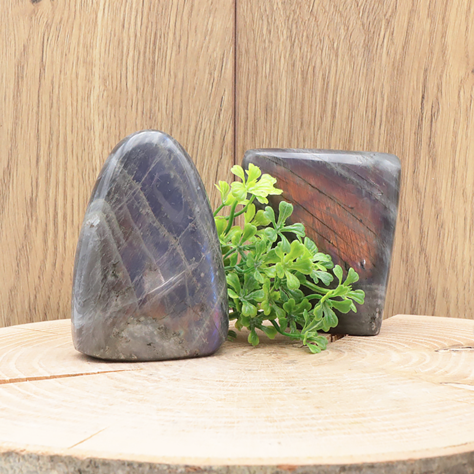 FORME LIBRE LABRADORITE VIOLETTE AA (1 PIÈCE)