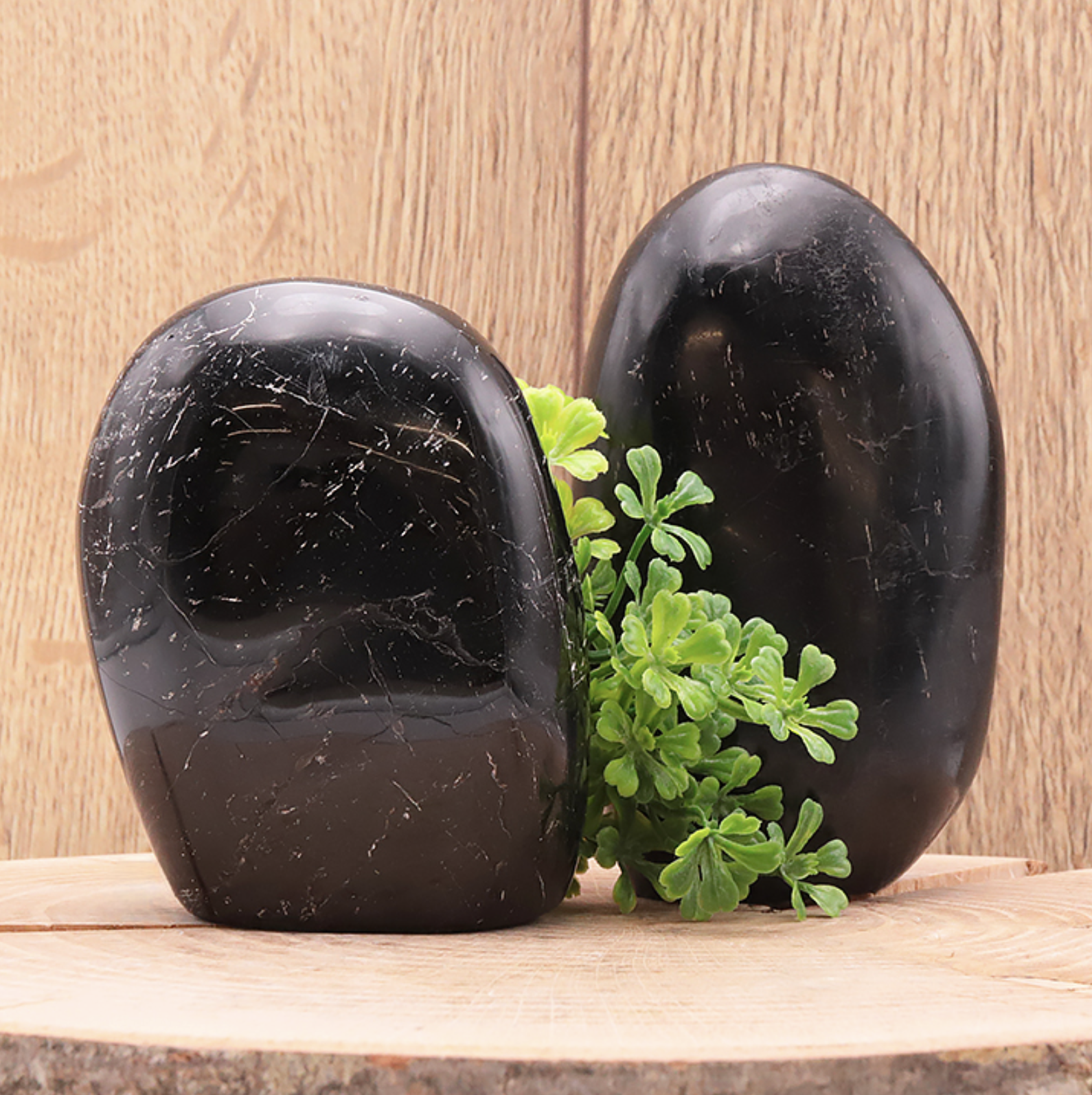 FORME LIBRE TOURMALINE NOIRE A (1 PIÈCE)