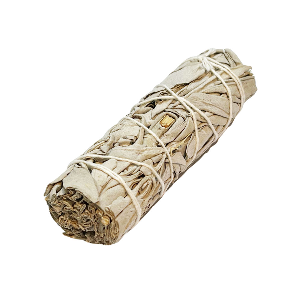 Sauge Blanche Apiana – 11cm